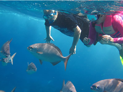 Two Cozumel Snorkelers Watching a Large School of Fish