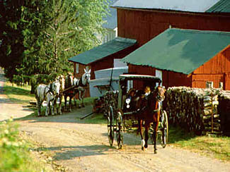 Amish Country Cheese factory