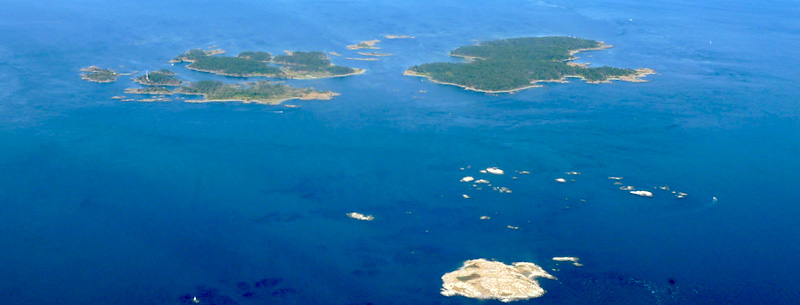 discovery island