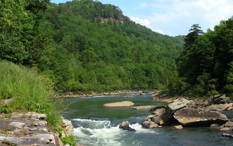 Rafting the Gauley River Free Fun Guides