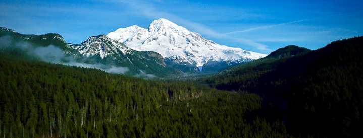 Mount Rainier Visitors Guide