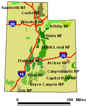 Division Map