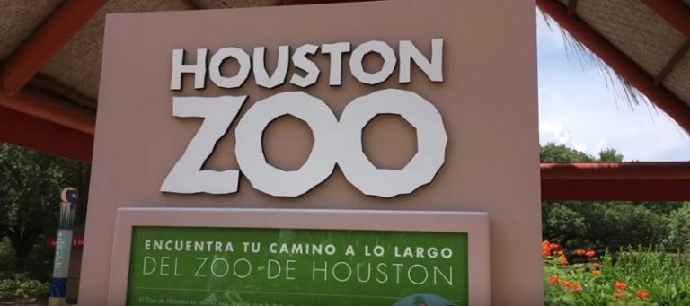 Houston Zoo Discount Tickets 768x341 
