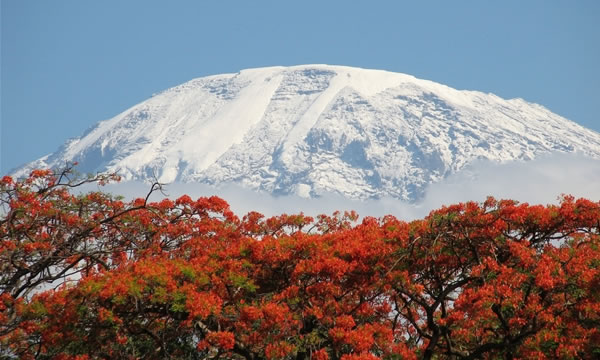 kilimanjaro-kenya-03