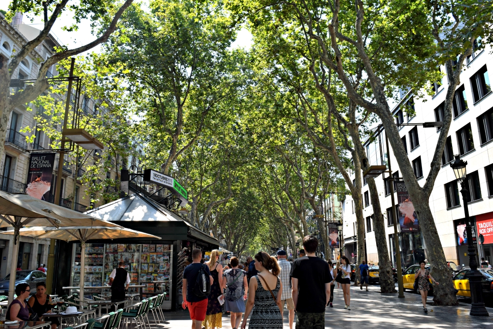 16 Must-Do in Barcelona - Free Fun Guides