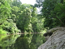 wissahickon creek gorge trail