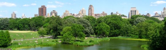 The view from Belvedere Castle in Central Park New York