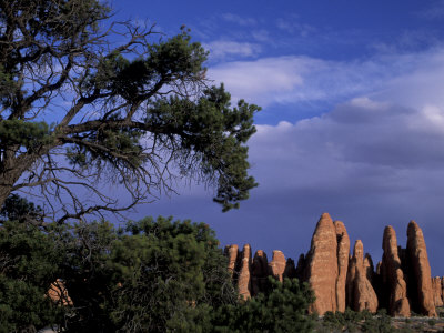 Fiery Furnace Fins, Arches National Park, Utah, USA