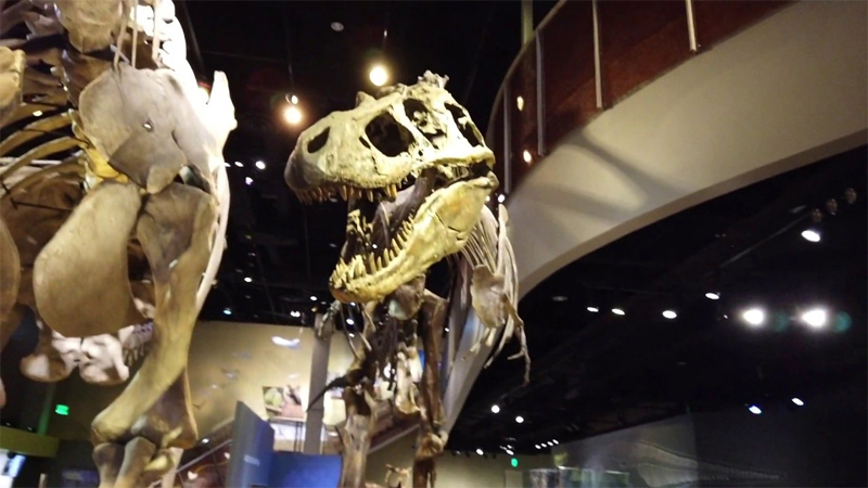 Perot Museum in Dallas, Texas - Museum of Nature and Science
