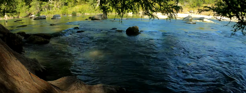 Guadalupe River Swimming