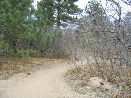 typical trail in Palmer Park Colorado Springs