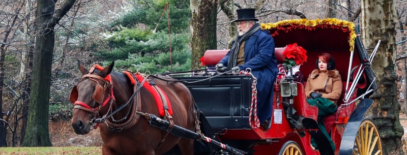 charleston Horse-drawn carriage