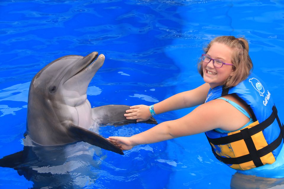 Swim with Dolphins in Panama City, Florida