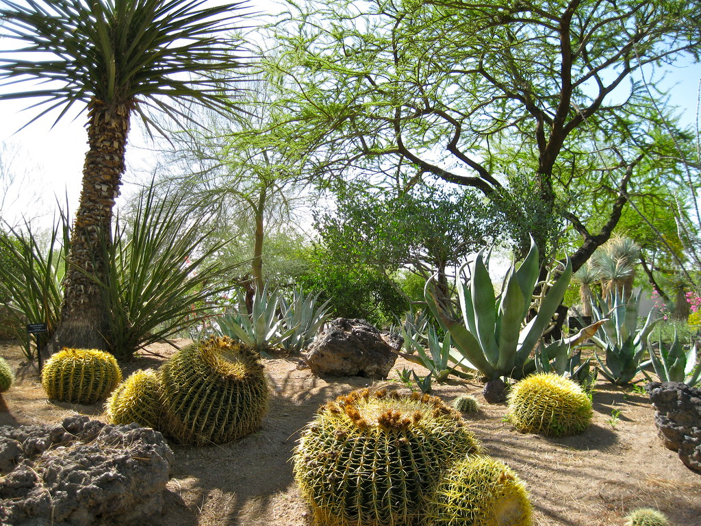 Botanical Cactus Garden
