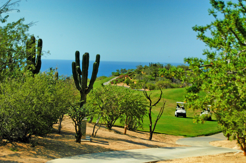Golf Scene in Los Cabos